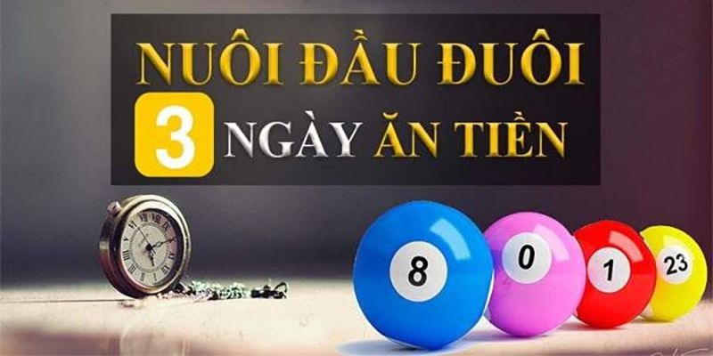 Tìm hiểu về dàn đề đầu đuôi khung 3 ngày